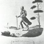 Elias Lönnrot A.V. Linsen, Museovirasto