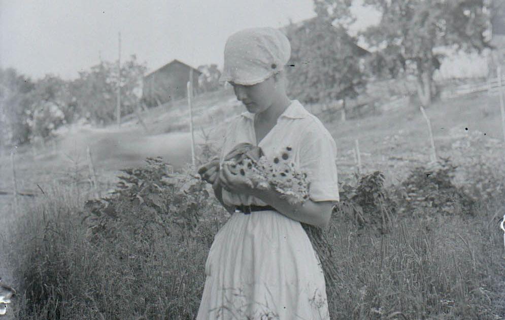Mustavalkoinen kuva kukkia pitelevästä maalaistytöstä niityllä.