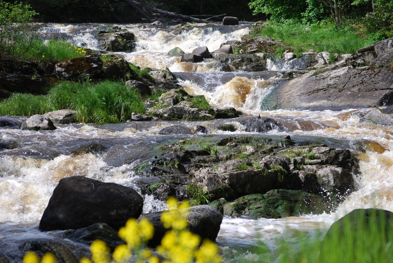 Myllykoski.