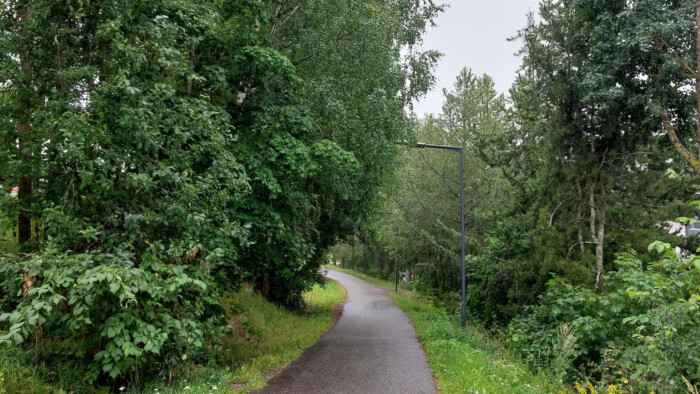 Alaspäin viettävä kevyen liikenteen väylä, jonka reunamillaon rehevöityneitä puita ja pensaita.