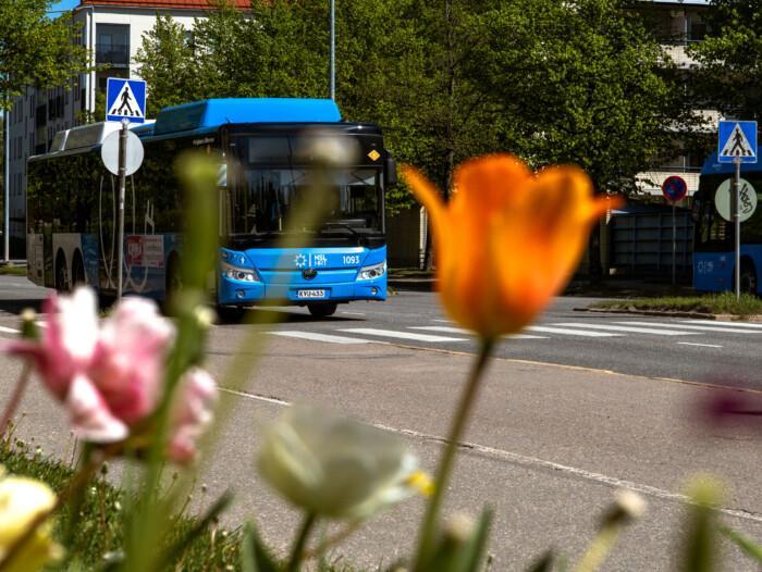Linja-auto kadulla. Kuvan etualalla tulppaaneja.